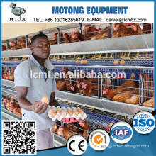 automatic battery layer chicken cage system for sale in China